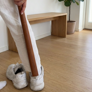 Premium Magnetic Shoehorn