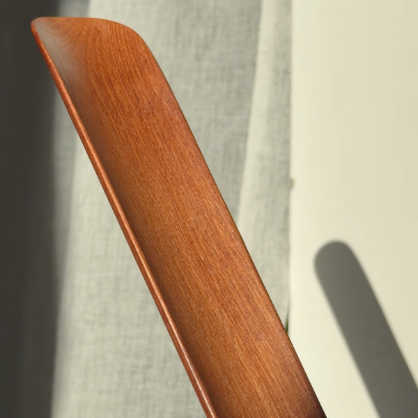 Premium Magnetic Shoehorn