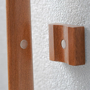 Premium Magnetic Shoehorn