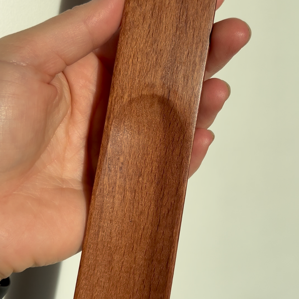 Premium Magnetic Shoehorn